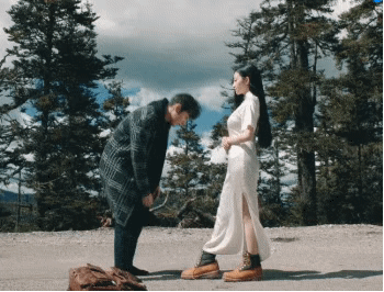 北美大灰狼是什么梗，北美灰狼为什么这么大（嘟嘴索吻、牵手搂抱、时刻黏在一起）