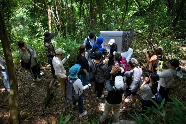 苏堤的由来， 这场山水间的文化体验之旅揭秘不为人知的千年城市历史