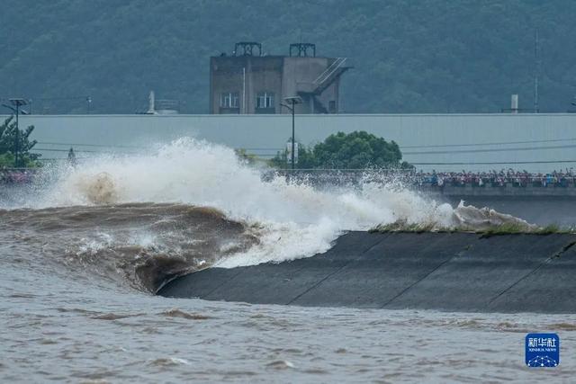 钱塘江入海的地方叫什么湾，钱塘江入海是什么海（世界潮我看丨农历八月十八日）