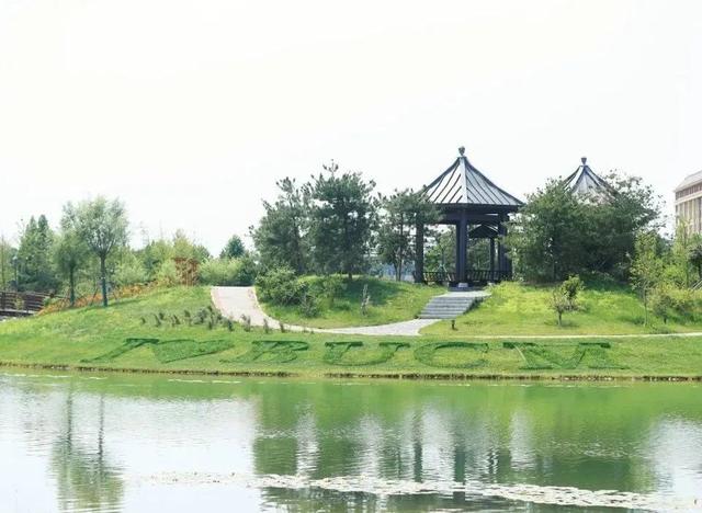 如何学好中医学，如何学好中医学作文（北京中医药大学2022年招生政策亮点及报考要点）