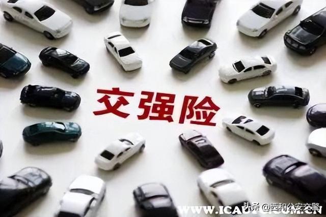 强险保险都包括什么，强险保险都包括什么内容（车辆交强险怎么查询到期）