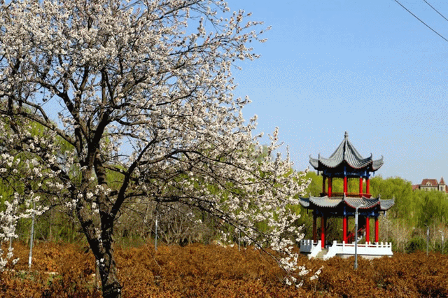 甘肃武威市简介，甘肃武威历史简介（甘肃武威，最吸引你的是什么）