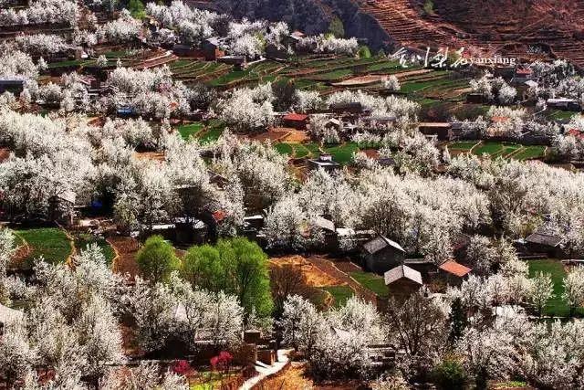 春天去哪里旅游好，这才是春天最值得去的20个地方（中国最美的30个地方）