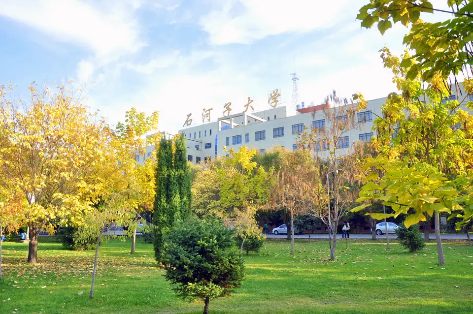 石河子大学共有多少学生？