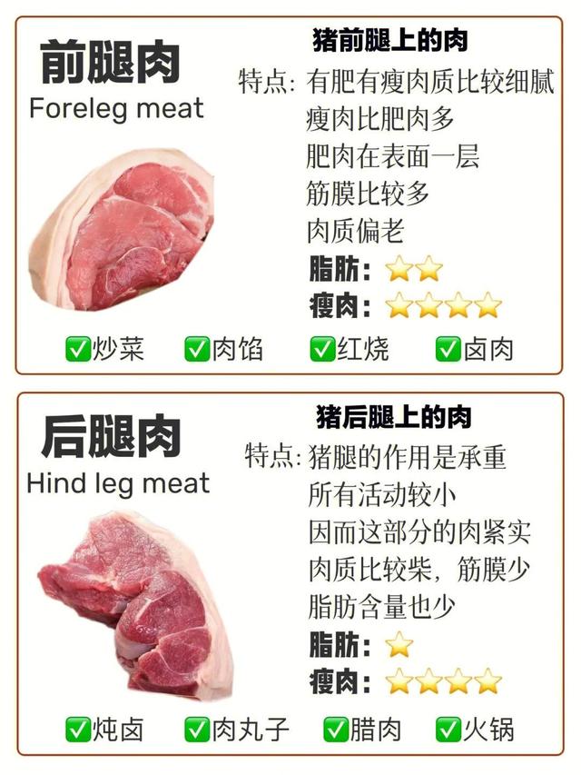 什么部位的猪肉最好吃，哪个部位猪肉好吃（哪部分肉好吃？一篇让你涨知识）