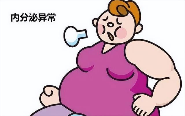 梨形身材怎么减肥，梨形身材怎样减肥（梨型身材怎么减肥）