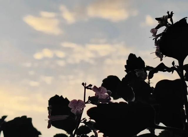 对影成三人是哪三人，对影成三人指的是谁（秋天的十大雅事）