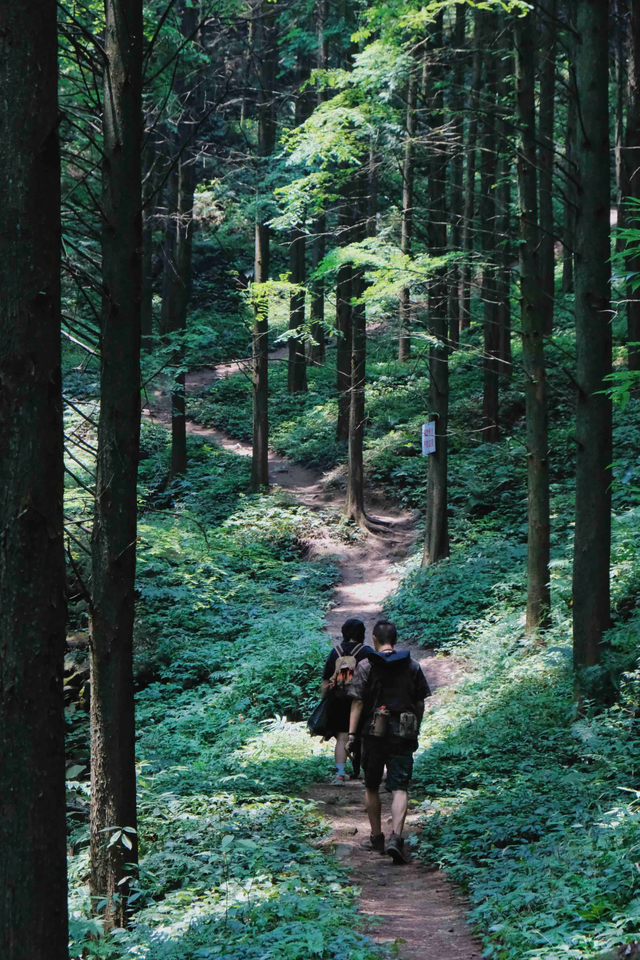 什邡市景点，什邡景点旅游景点（成都周边绝美“禁林”）
