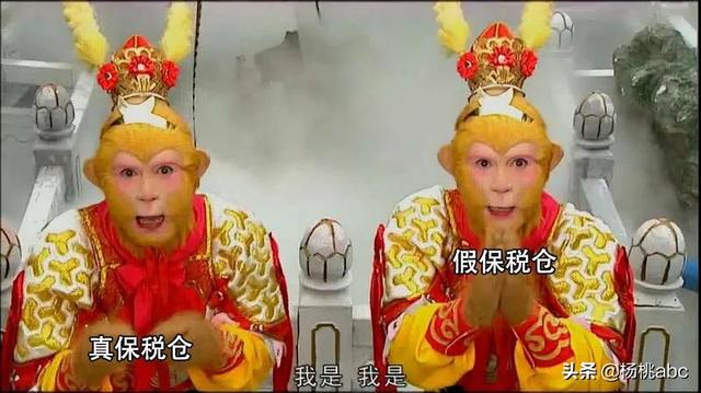 掌上海关能查到的是真的吗，掌上海关靠谱吗（一起来揭秘保税仓的那些事儿）