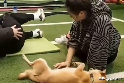 yy是什么意思啊，yy是什么意思（YYDS,“2021年度十大网络用语”出炉）