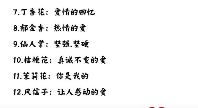 花的象征意义，菊花的象征意义（各种花代表的含义）