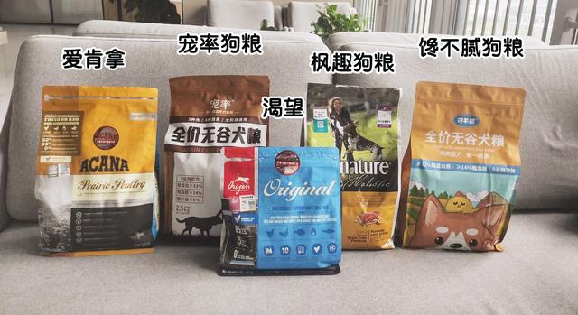 最善良的狗狗是什么狗，最善良的狗是什么品种（是因为狗狗太善良）