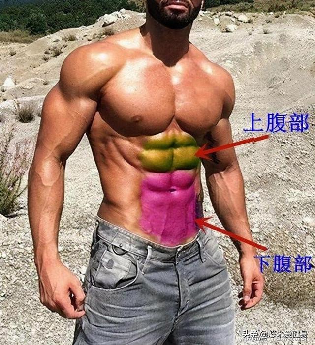 腹部有氧运动有哪些，腹部的无氧运动有哪些（轻松拥有迷人腹肌身材）