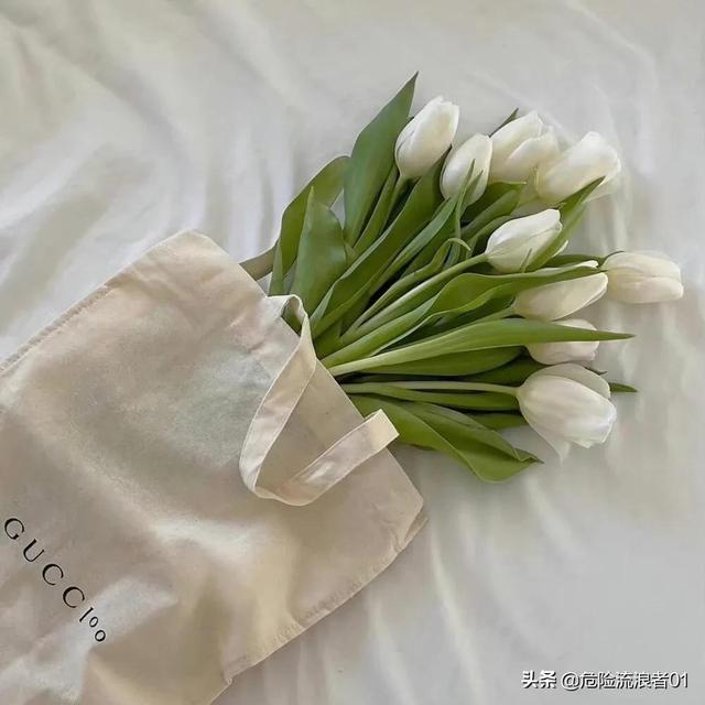 唯美的文案短句，唯美的文案句子（优美的文案短句）