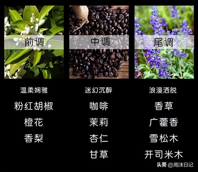 圣罗兰香水这个品牌好不，圣罗兰香水最火的一款（闻一次就彻底沦陷）