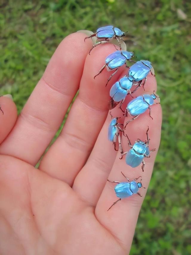 温柔的图片唯美，ins温柔唯美治愈系背景图，微信头像（生活明朗 万物可爱）