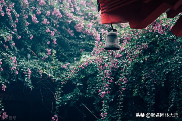 古风清雅的名字，古风清雅的女孩名字锦集（好听不俗古风女名字）