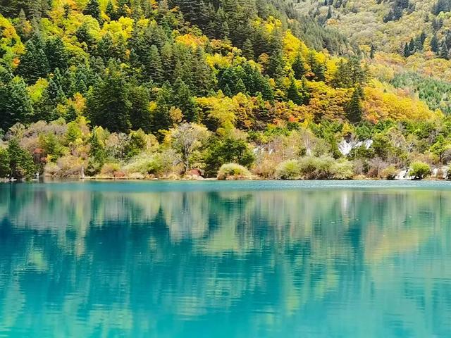 四川九寨沟简介，四川九寨沟介绍（四川九寨沟）