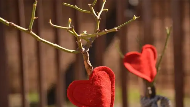 男人失去了情人会难受吗，男人失去情人也会失落吧（失去一个深爱过的人）