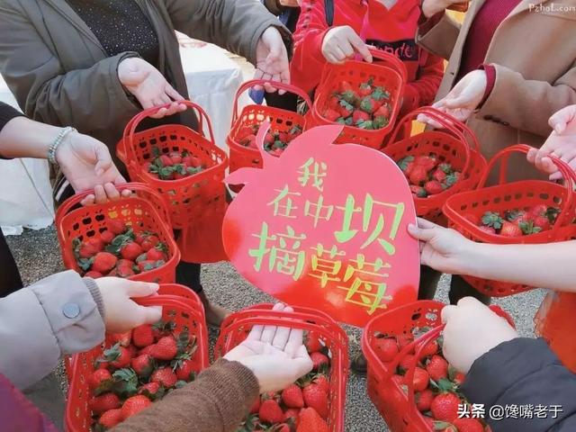 中国哪里盛产草莓啊，中国哪里产的草莓最好吃（这8个地方比较出名）