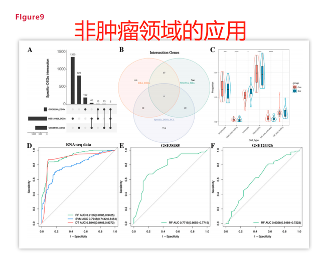 发怎么写好看，大写的发字怎么写（2022年生信发文突破口）