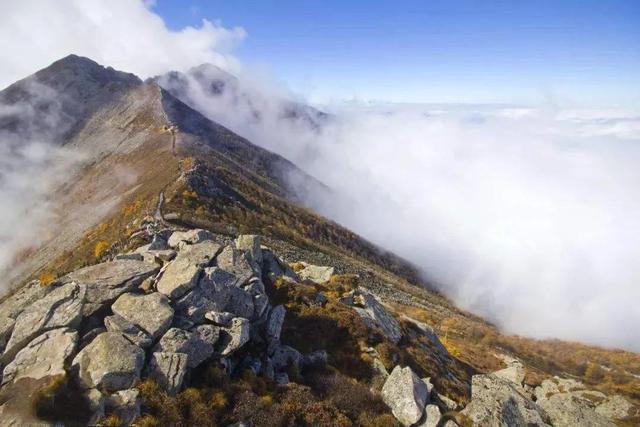 三秦指的是哪三秦，唐朝时三秦指的是哪三秦（你不一定知道的陕西小知识）