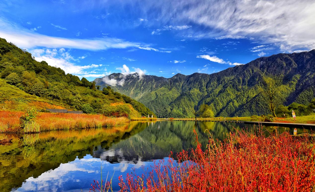 双十一2022促销活动广告语以及口号大全84句，双十一促销活动宣传语（十万高额奖金等您来提）