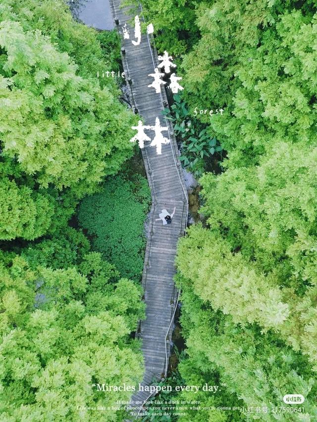 附近的景点哪里好玩的地方，附近旅游点好玩的地方在哪里（成都周边10处踏青好耍地）