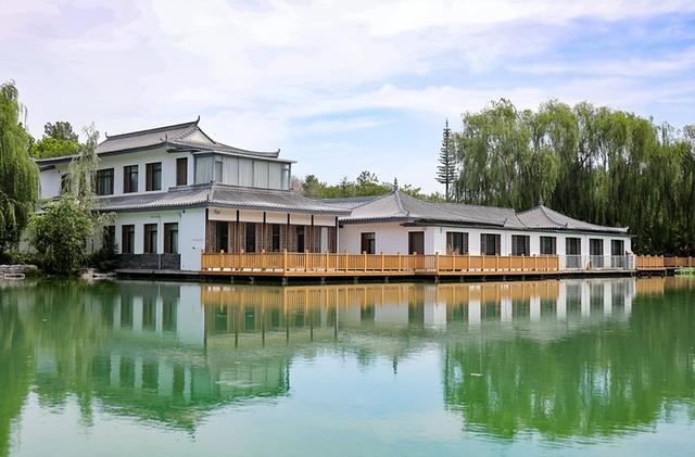 入门级的微单相机哪个好，佳能全画幅微单应该如何选择