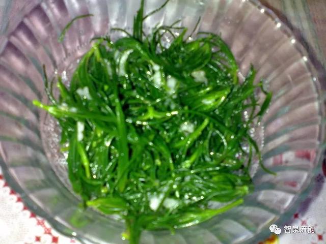 鬼圪针，鬼根针是什么？据说可以泡茶喝。有什么要求（郭进拴，黄河黄，长江长）