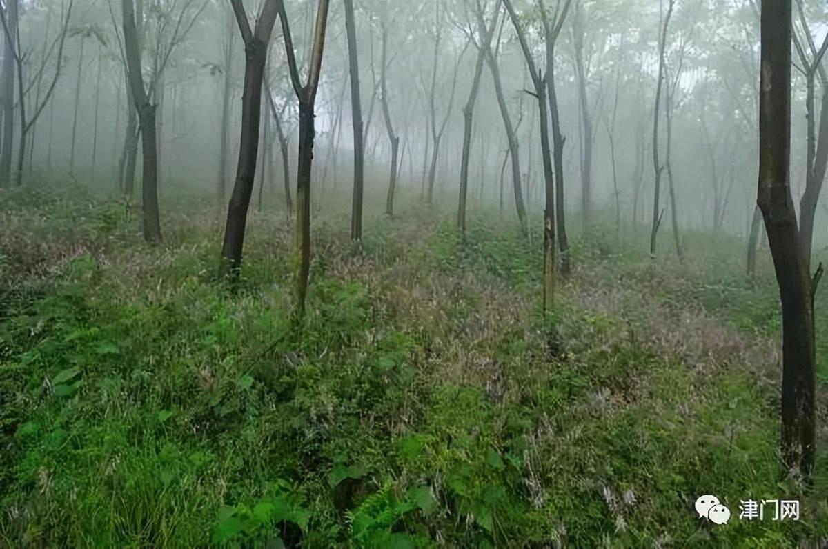 成都附近一日游最佳景点推荐，成都一日游景点推荐（成都周边一日游拍照景点推荐）