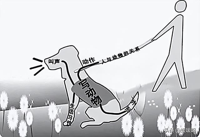 写作技巧与方法思维导图，写作技巧与方法思维导图怎么画？