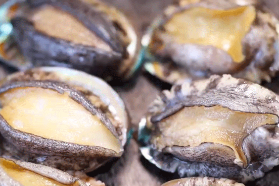 生蚝什么时候最肥，生蚝几月份最肥（福建生蚝几月份最肥）