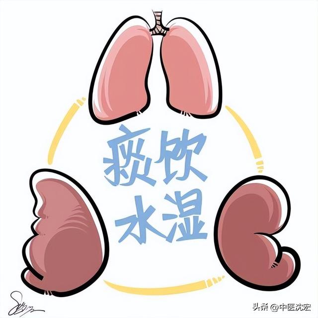 水湿怎么办，祛水湿之本断湿气之源（水湿怎么调理）