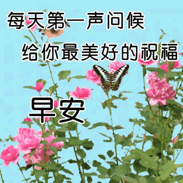 03年属什么生肖，03年属什么（2023年04月03日）