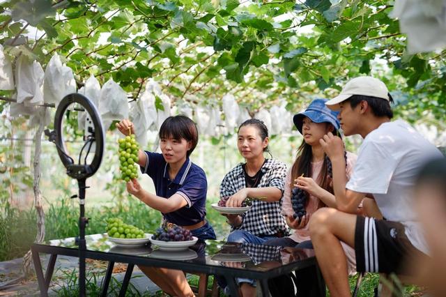 中原消费金融靠谱吗，中原消费金融好下款吗（葡萄架下幸福路——中原银行携手中原消费金融赋能乡村振兴）