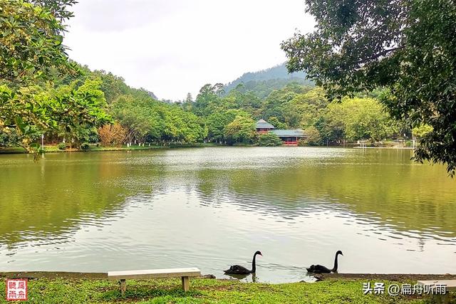 番禺大夫山森林公园，探寻天然氧吧广州大夫山森林公园（大夫山森林公园真的太大了）