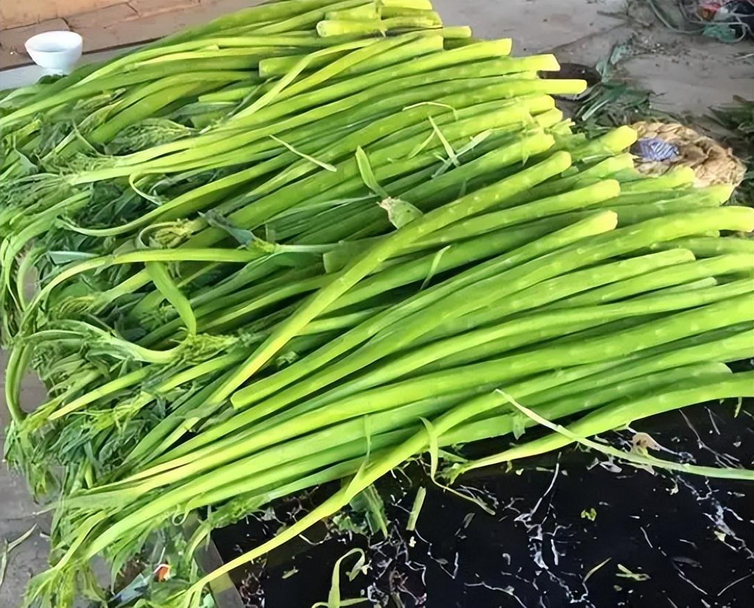 贡菜是什么菜长什么样，贡菜和莴笋的区别