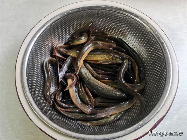 泥鳅鱼怎么做好吃，泥鳅鱼炖茄子的家常做法（多吃这鱼“赛人参”）