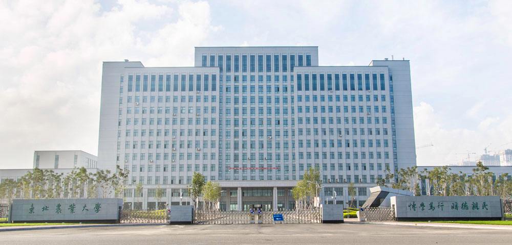 东北农业大学（东北农业大学）