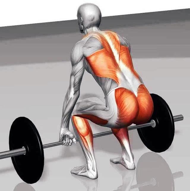 练肌肉为什么人老了会后悔，练肌肉为什么人老了以后会后悔（中老年人健身锻炼力量三个易犯错误）