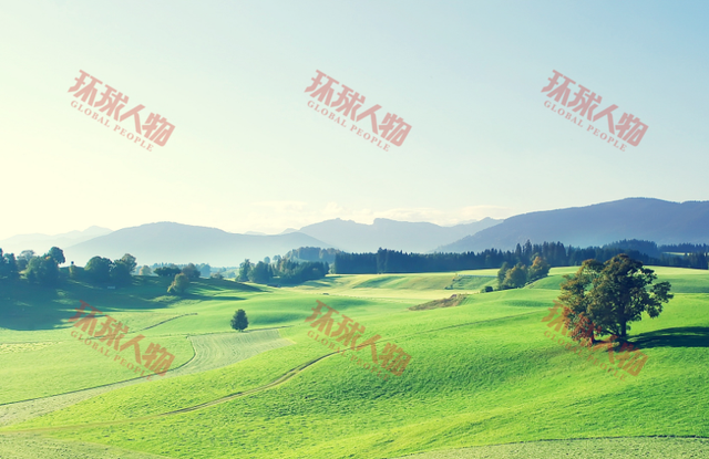 ps加水印怎么加，照片水印怎么加（怎么给照片加水印）