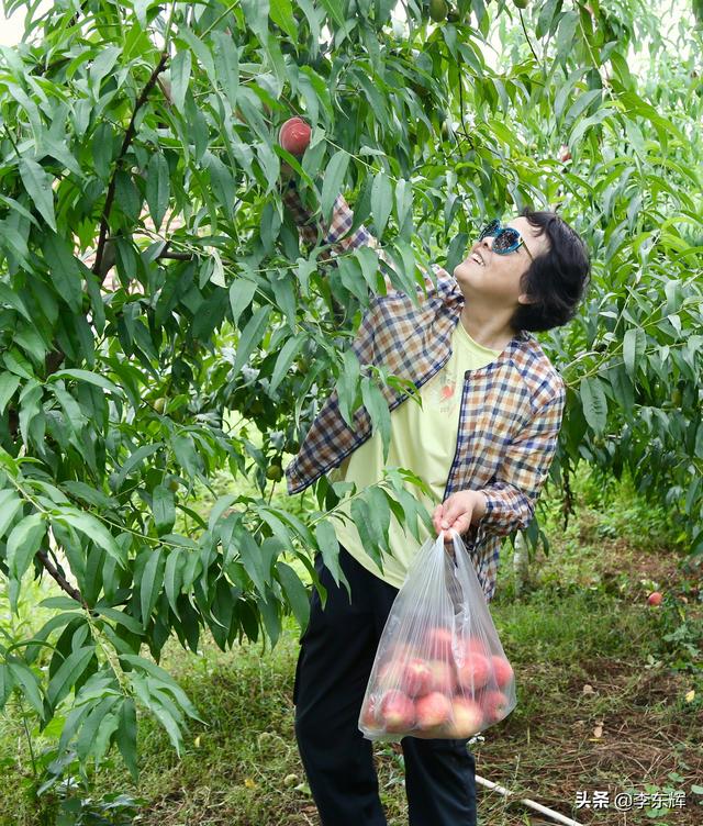 同学聚会说说幽默短句，同学聚会搞笑短句（快乐时光总是那么美好）