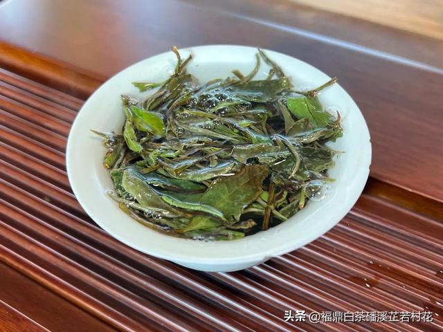 福鼎白茶产区磻溪，带你了解白茶优质产区，磻溪镇