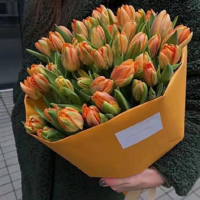 送给闺蜜的生日话暖心，给闺蜜的生日暖心话有哪些（祝闺蜜生日快乐的文案）