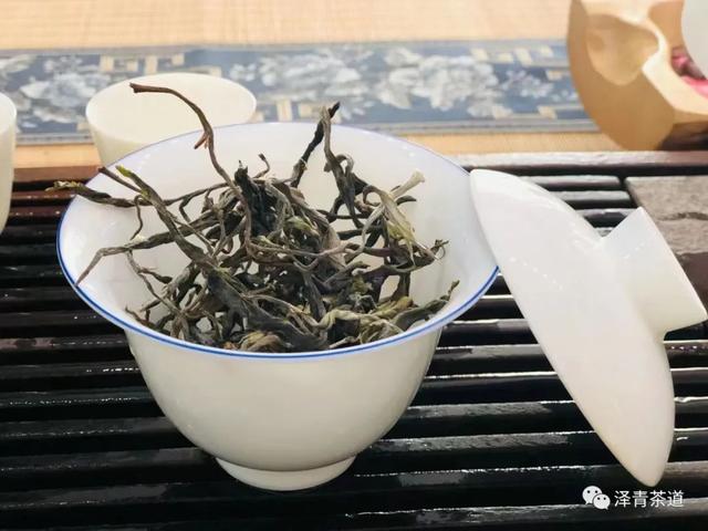 倚邦普洱茶特点，倚邦普洱茶特点口感（普洱茶的冷知识—普洱茶之最）