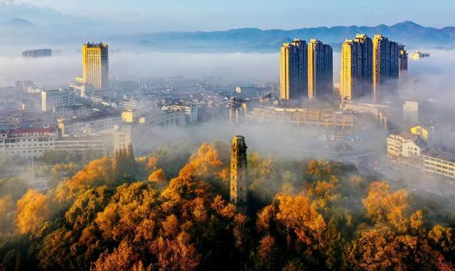 浦江是什么省什么市，浦江是哪个市的（浦江县这两个“公园”有了新身份）