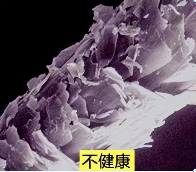 干发帽的正确戴法，干发帽怎么戴（保养头发的方法）