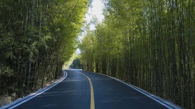 韶关丹霞山旅游攻略，韶关市最有名的旅游景点（来韶关开启徒步模式吧~）