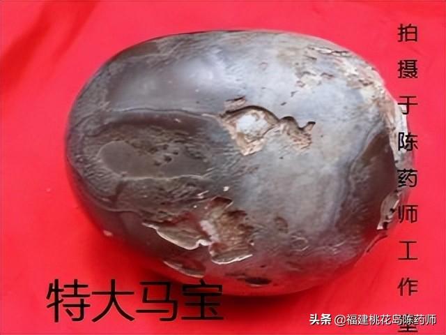 降压最好的中药，降血压最好的中成药（24味平肝中药的性味与功效）